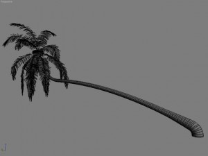 palm 1 3D Model