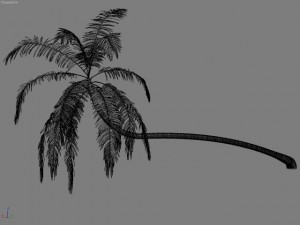 palm 1 3D Model