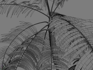 palm 1 3D Model