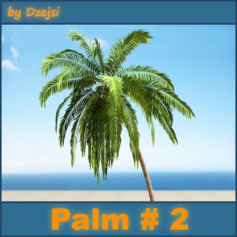 palm 2 Modelo 3D .c4d .max .obj .3ds .fbx .stl .blend 