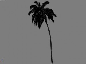 palm 2 Modelo 3D
