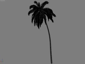 palm 2 3D Model