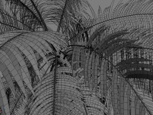palm 2 3D Model