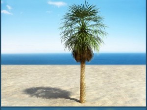 palm 3 3Dモデル
