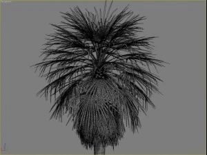 palm 3 3D Model