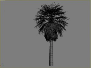 palm 3 3D Model