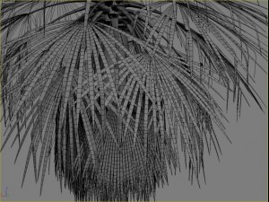 palm 3 3D Modell