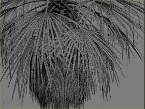 palm 3 3D Model