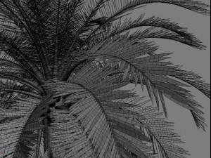 palm 4 3D Model