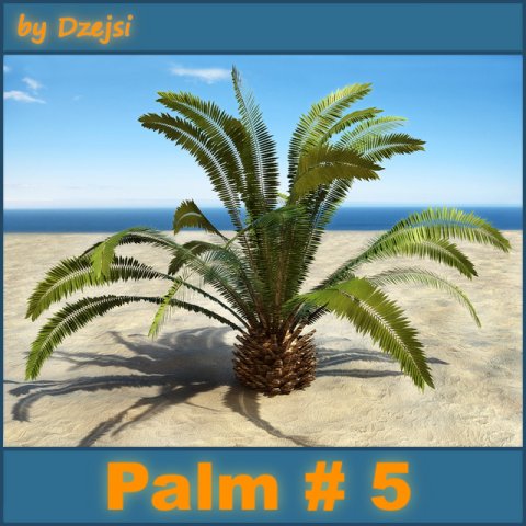 palm 5 3D Модель .c4d .max .obj .3ds .fbx .stl .blend 