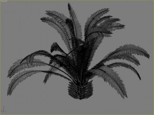 palm 5 3D Модель
