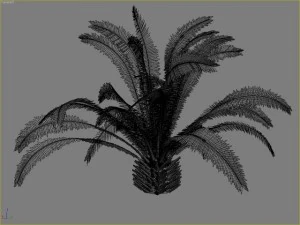 palm 5 3D Model
