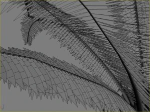 palm 5 3D Model