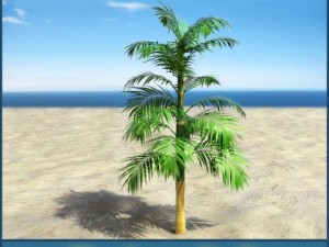 palm 6 3D Model