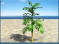palm 6 Model 3D