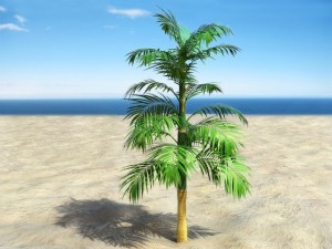 palm 6 Modello 3D