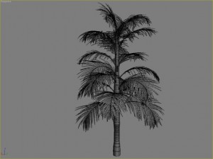 palm 6 Modello 3D