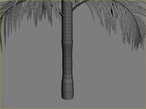 palm 6 Modello 3D