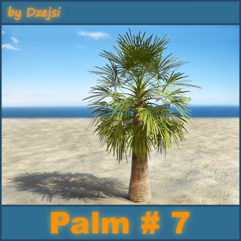 palm 7 3D Модель .c4d .max .obj .3ds .fbx .stl .blend 