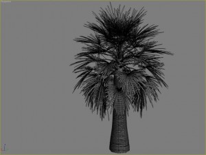 palm 7 3D Модель