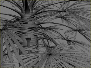 palm 7 3D Модель