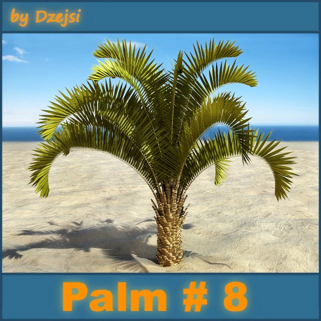 palm 8 3D Model .c4d .max .obj .3ds .fbx .stl .blend 