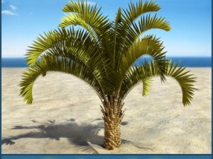palm 8 3D 模型