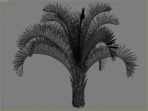 palm 8 3D Model
