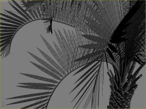 palm 8 3D Model