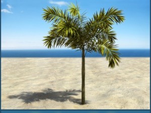 palm 9 3D 模型