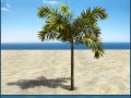 palm 9 Model 3D