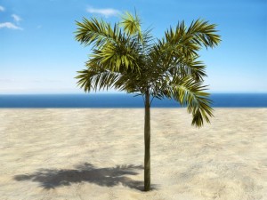 palm 9 Modello 3D