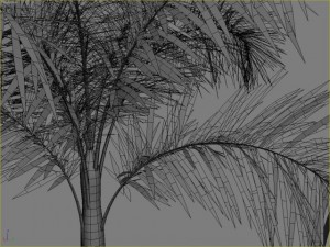 palm 9 Modello 3D