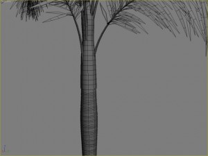 palm 9 Modello 3D