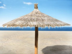 沙滩遮阳伞1 3D 模型