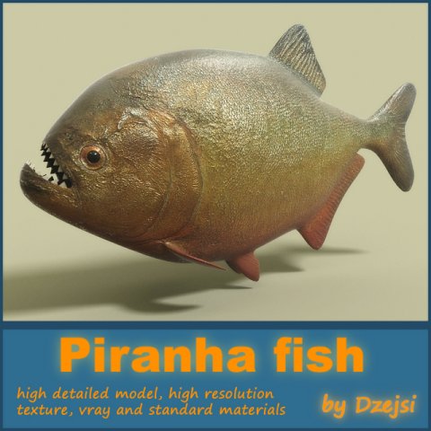 piranha fish Modelo 3D .c4d .max .obj .3ds .fbx .stl .blend 