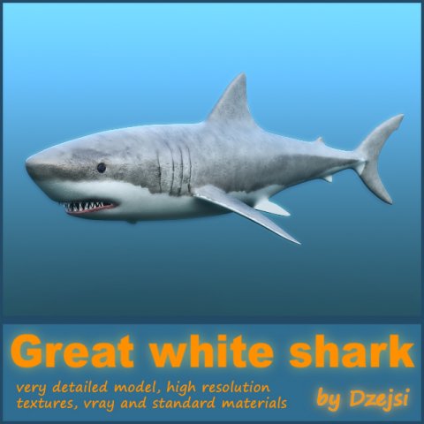 great white shark 3D 모델 .c4d .max .obj .3ds .fbx .stl .blend