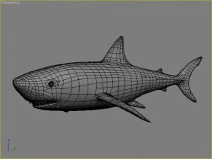 great white shark 3D Model