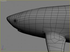 great white shark 3D 모델