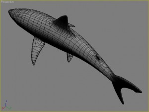 great white shark 3D 모델