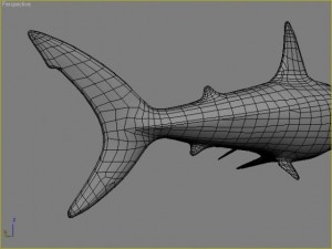 great white shark 3D 모델