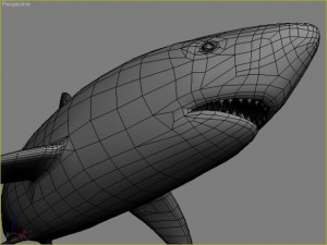 great white shark 3D 모델