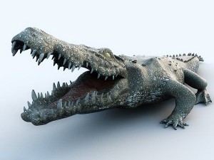 crocodile 3D Model