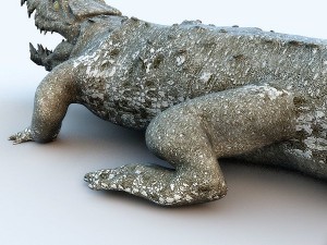 crocodile 3D Model