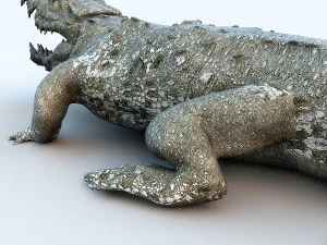 crocodile 3D Model