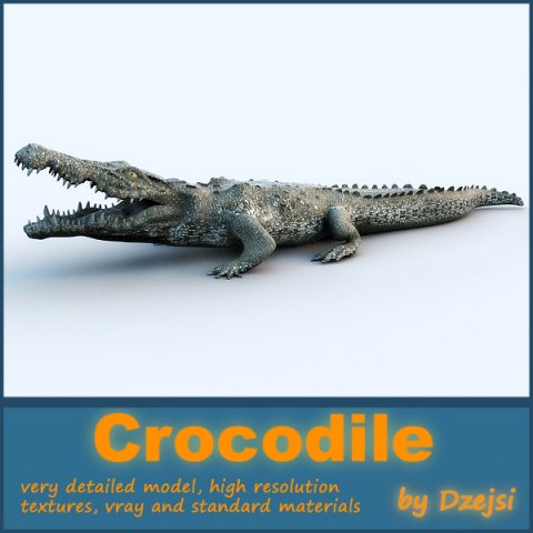 crocodile 3D Model .c4d .max .obj .3ds .fbx .stl .blend 