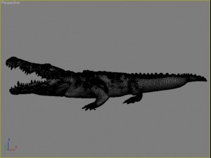 crocodile 3D Model