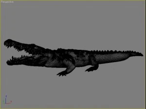 crocodile 3D Model