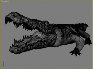 crocodile 3D Model