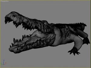 crocodile 3D Model